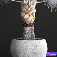 thumb image