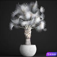 thumb image