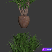 thumb image