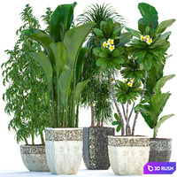 Plant collection 251. Garden Plants, Classic Flowerpot, Outdoor Pot, Banana, Bamboo, Dracaena, Ficus, Frangipani, For Park
