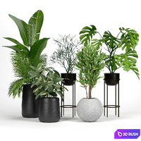 Set Crate and Barrel 04