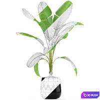 thumb image