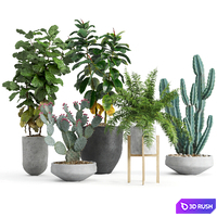 Set of indoor plants 3D Model Corona