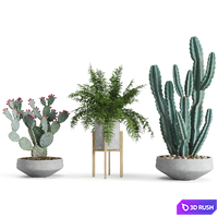 Set of indoor plants 3D Model Corona