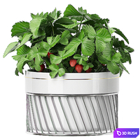 INTERIOR FLOWER PACK 59 - STRAWBERRY 3D Model Vray