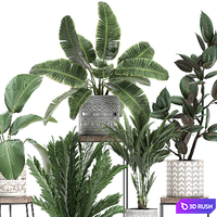 A collection of small plants on a flower stand in pots with Palm, ficus, strelitzia, a shelf with flowers. Set 702 3D Model Vray