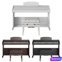 Roland RP 501 R 3D Model Corona
