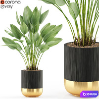 Plants collection 492 3D Model Vray, Corona