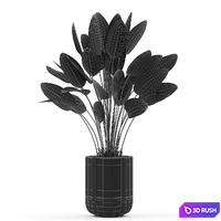 Plants collection 492 3D Model Vray, Corona
