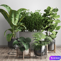 Collection Indoor plant 43 vase 3D Model Vray, Corona