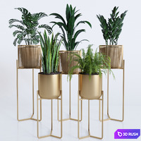 plant collection rpm 01 3D Model Vray, Corona