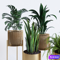 plant collection rpm 01 3D Model Vray, Corona