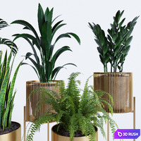 plant collection rpm 01 3D Model Vray, Corona