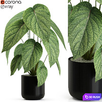 Plants collection 533 3D Model Vray, Corona