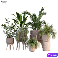 Plant in vase collection set 214