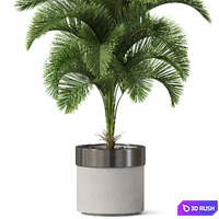 thumb image