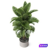 thumb image