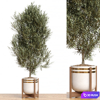 Plant Collection 83