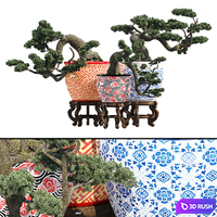 Porcelain bonsai