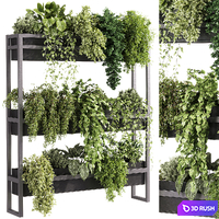 Indoor plants - 54 Plant Stand