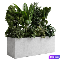 Office plant - concrete box plants on stand - set indoor plant 554 3D Model Vray, Corona