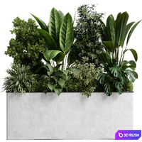 Office plant - concrete box plants on stand - set indoor plant 554 3D Model Vray, Corona