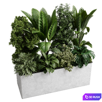 Office plant - concrete box plants on stand - set indoor plant 554 3D Model Vray, Corona