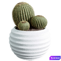 thumb image