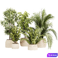 IndoorPlantset25
