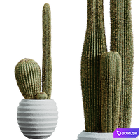 thumb image