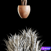thumb image
