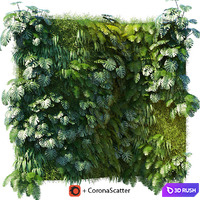 Phytowall 1