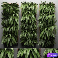 Vertical garden 30. fern, picture, vertical garden, phytowall, wall decor, phytomodule, eco design, natural materials
