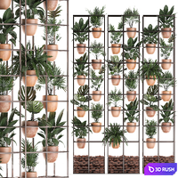 Shelf with flowers in clay pots vertical garden with fern, palm, monstera, ficus, shelving. Set of 30.