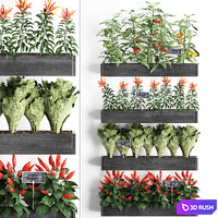 Vertical gardening in wooden wall boxes pots with kitchen garden, vegetable garden, vegetables, herbs, peppers, tomatoes, tomatoes, lettuce. Set 47.