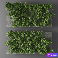 Vertical garden 010