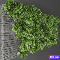 thumb image
