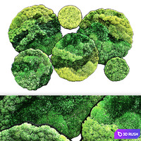 Moss panno