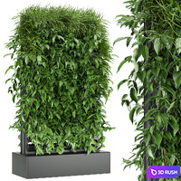 Collection plant vol 168