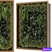 Indoor Wall Vertical Garden in Wooden Base - Set 523