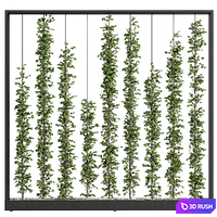 Green Wall - Plants partition 06