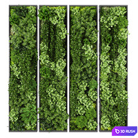 Vertical garden 243