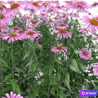 thumb image