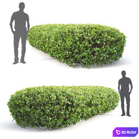 thumb image
