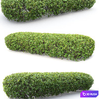 thumb image