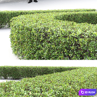 thumb image