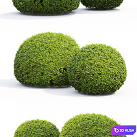 thumb image