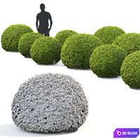 thumb image