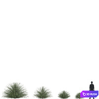 thumb image