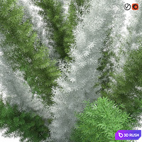 thumb image